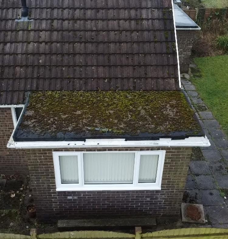 Before — mossy flat roof